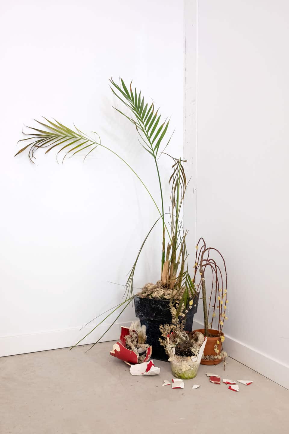 Peculiar Movements/Green Junctions at NAMARA projects